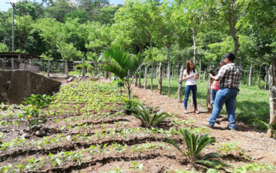 La diversificación productiva hace referencia al cambio de la dominancia regional de un solo cultivo a varios cultivos.